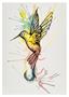 Aquarel paint, STAEDTLER 