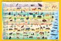 Desk mat, double sided, STIEFEL 