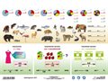 Student worksheets, A4, 