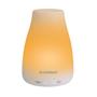 Aroma diffuser V-100L/P