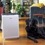 Winix Zero-EU, air purifier