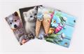 Pass holder, vertical, 10 deposit shhets, patterned PVC, 