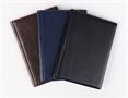 Pass holder, vertical, 10 deposit shhets, PVC, 