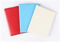 Pass holder, vertical, 16 deposit shhets, PVC, 