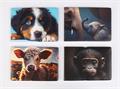 ID and pass holder, horizontal, 6 deposit shhets, patterned PVC, "Többlapos", animals