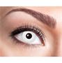 Contact lens, 1 weekly, "White Zombie"